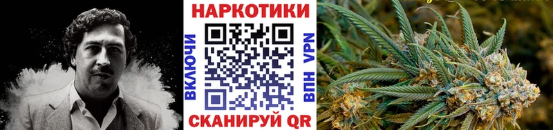APVP Кисловодск